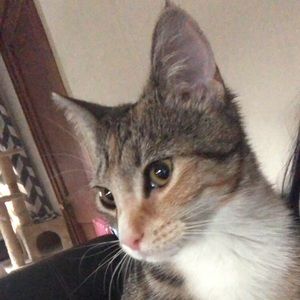 Meet your Posher, Tanya